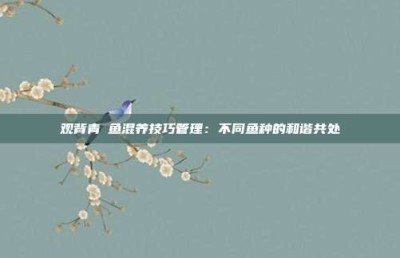 观背青鳉鱼混养技巧管理：不同鱼种的和谐共处