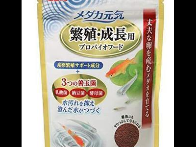 观背青鳉鱼饲料储存：保持饲料新鲜的方法