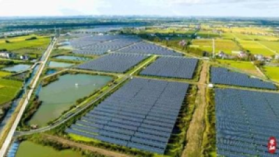 绿水养殖法：天然微生态环境打造教程