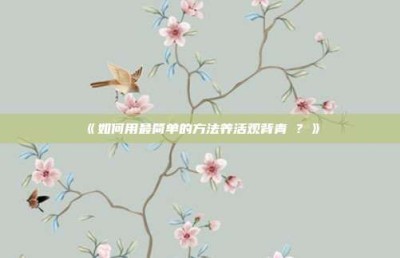 ‌《如何用最简单的方法养活观背青鳉？》‌