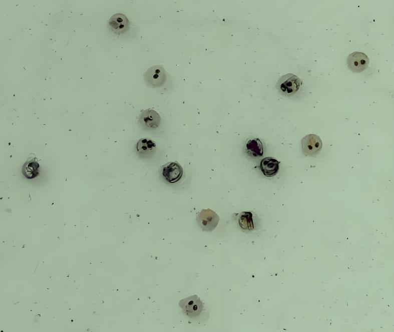 20250913130124.jpg 20250913130124.jpg