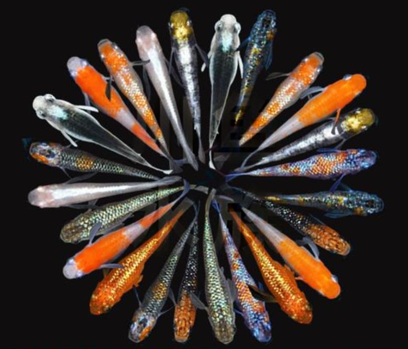 20250913135411.png 20250913135411.png