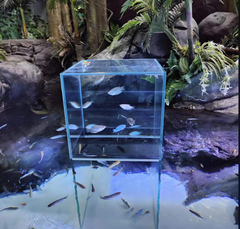 20250916224439.jpg 20250916224439.jpg