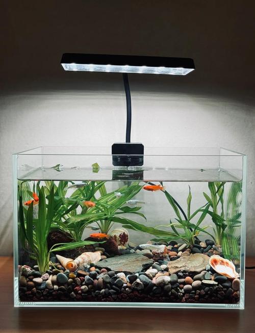 downloaded-image.png downloaded-image.png