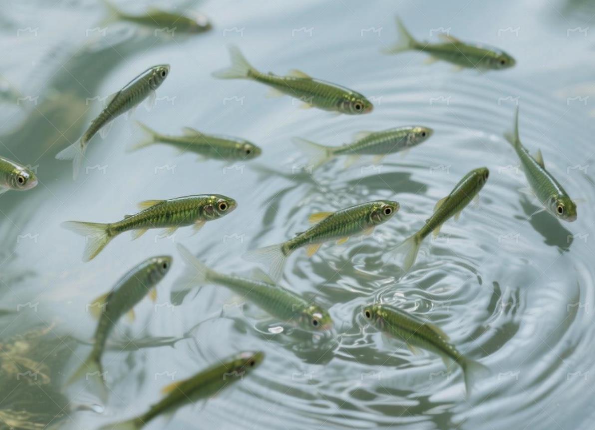 QQ浏览器截图20250918143035.jpg QQ浏览器截图20250918143035.jpg