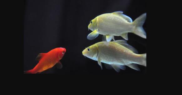 QQ浏览器截图20251003082915.jpg QQ浏览器截图20251003082915.jpg