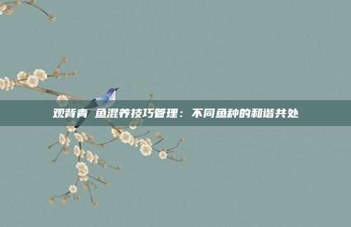 观背青鳉鱼混养技巧管理：不同鱼种的和谐共处