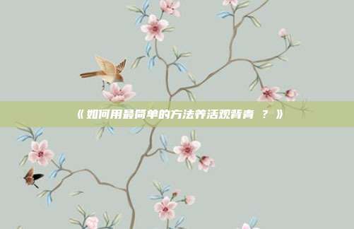 《如何用最简单的方法养活观背青鳉?》