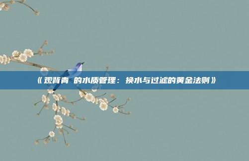 《观背青鳉的水质管理:换水与过滤的黄金法则》