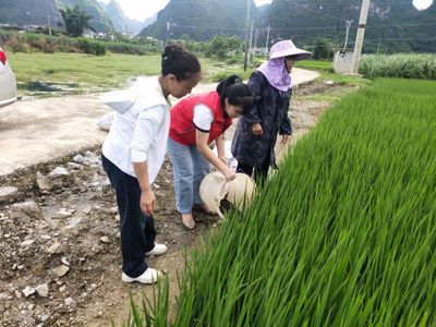 水温控制要点:避免温差过大的实用方法