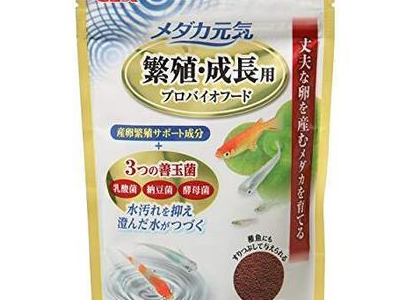 观背青鳉鱼饲料储存：保持饲料新鲜的方法